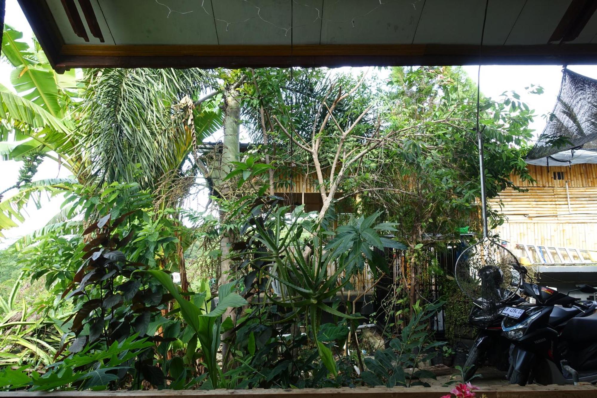 Tarsan Homestay Labuan Bajo Extérieur photo