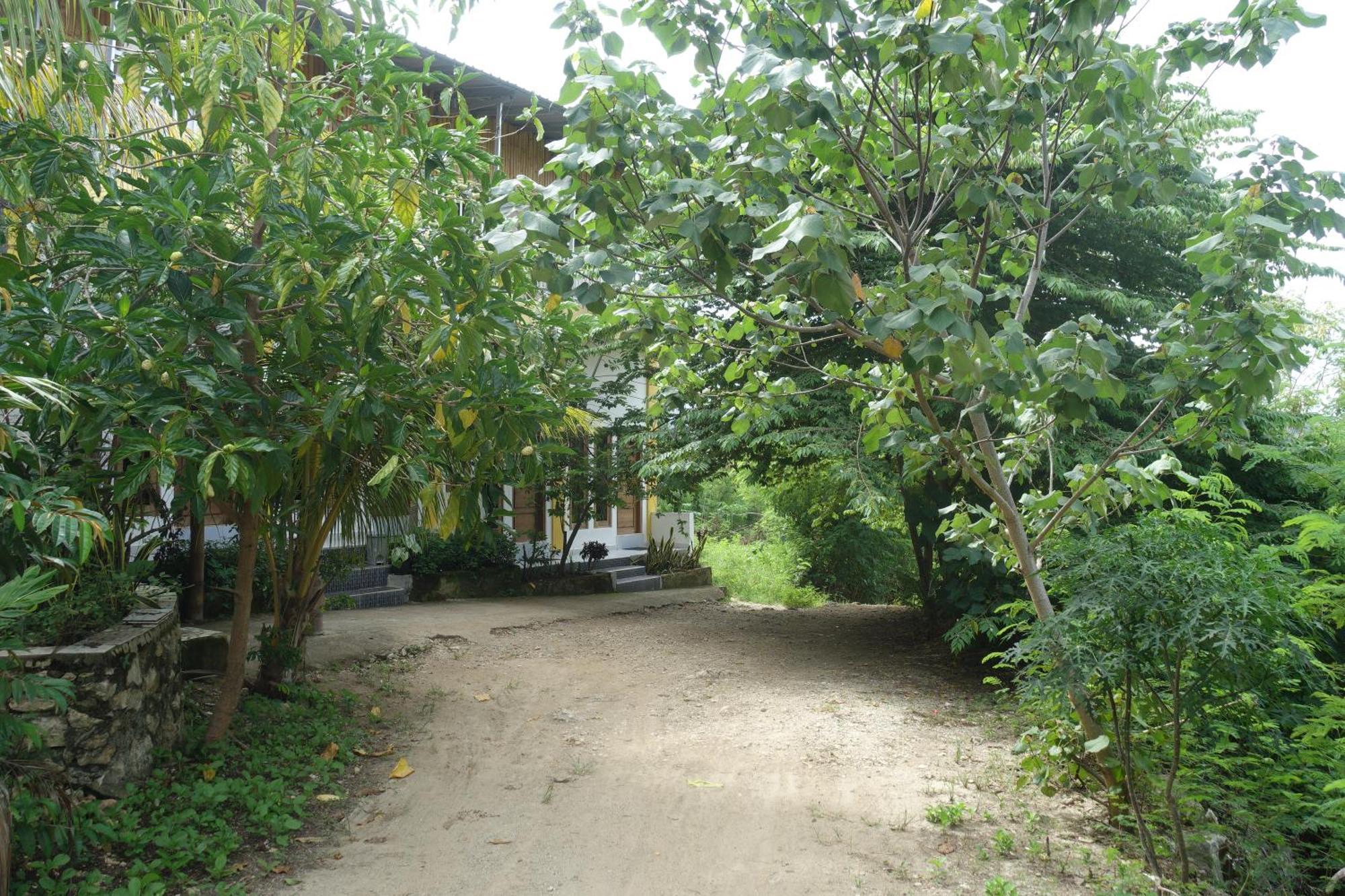 Tarsan Homestay Labuan Bajo Extérieur photo
