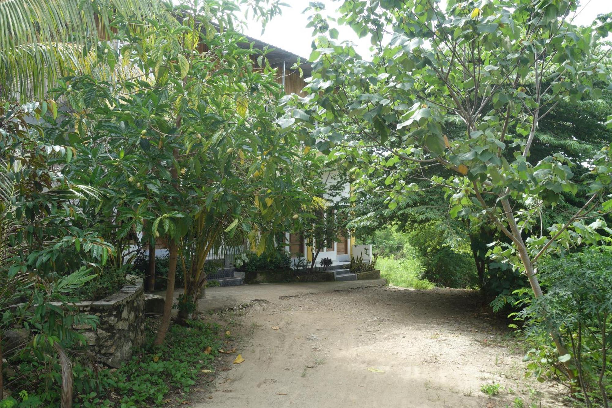 Tarsan Homestay Labuan Bajo Extérieur photo