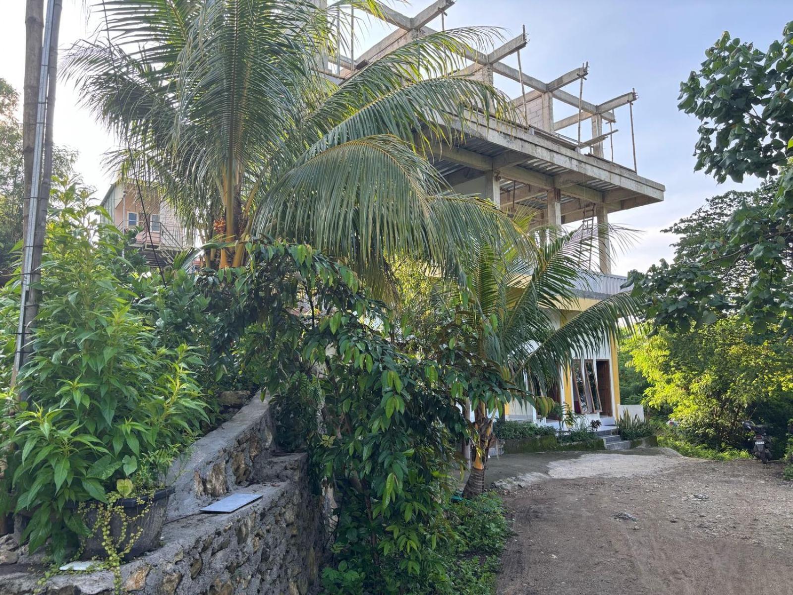 Tarsan Homestay Labuan Bajo Extérieur photo