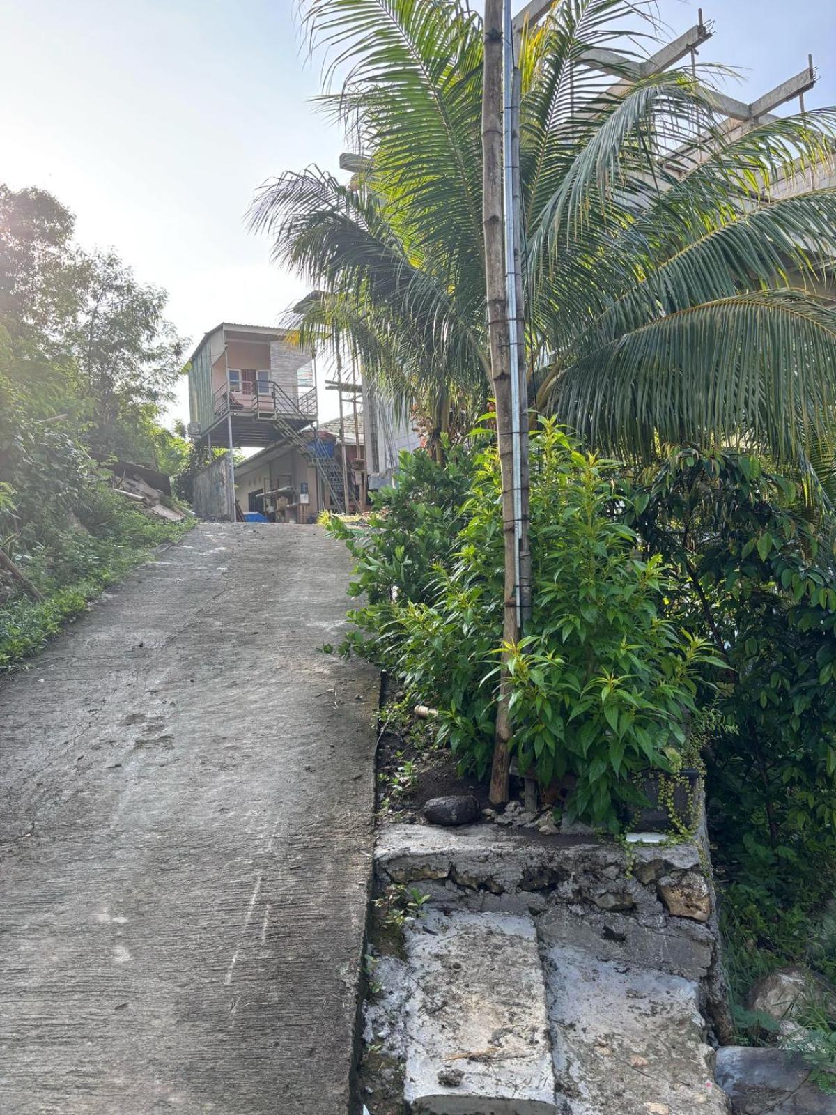 Tarsan Homestay Labuan Bajo Extérieur photo