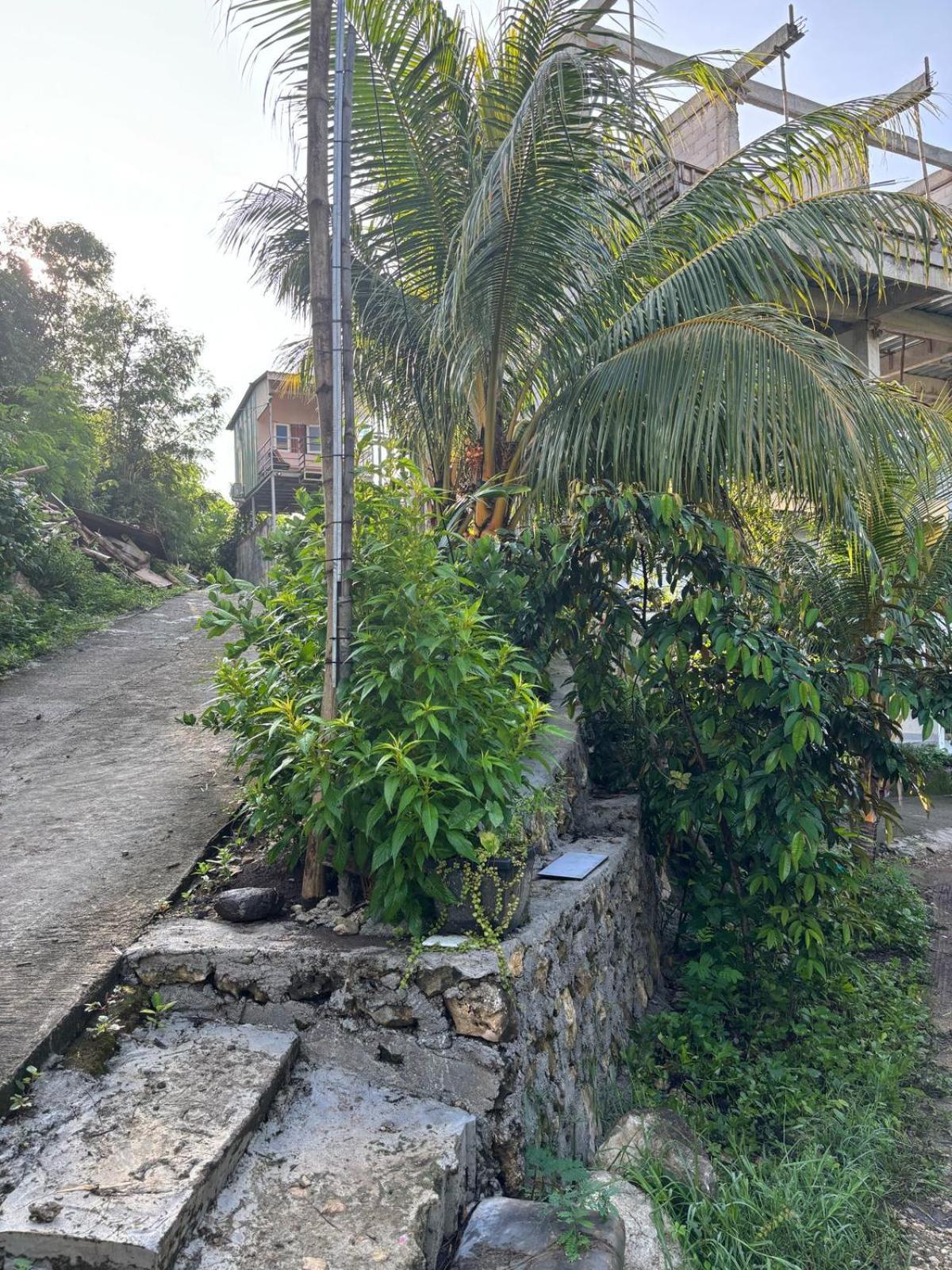 Tarsan Homestay Labuan Bajo Extérieur photo